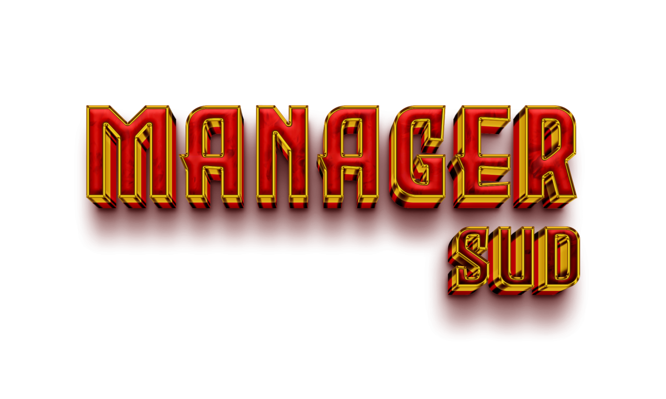 Manager SUD Global.png